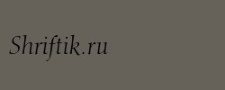 Calligraphic 810 Italic BT 